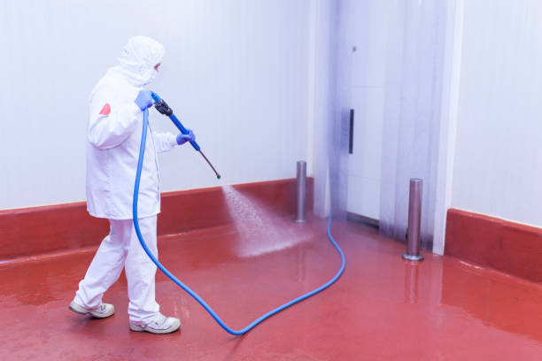Best Roof Washing  in Arlington, TX